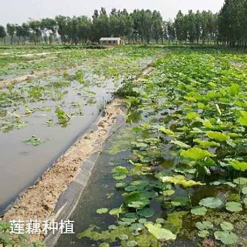 施工案例